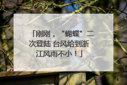 刚刚，“蝴蝶”二次登陆 台风给到浙江风雨不小！