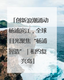 创新浪潮涌动杨浦滨江，全球目光聚焦“杨浦智造”｜相约复兴岛