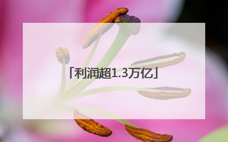 利润超1.3万亿