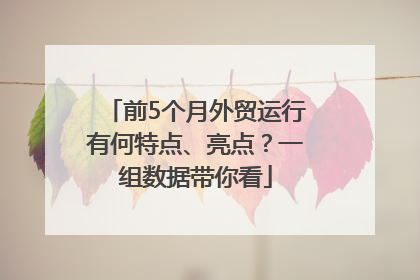 前5个月外贸运行有何特点、亮点？一组数据带你看