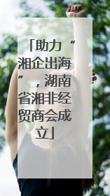 助力“湘企出海”，湖南省湘非经贸商会成立