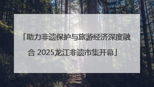 助力非遗保护与旅游经济深度融合 2025龙江非遗市集开幕