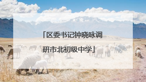 区委书记钟晓咏调研市北初级中学