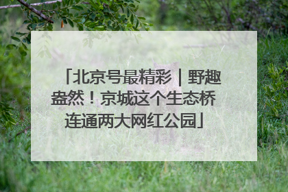 北京号最精彩｜野趣盎然！京城这个生态桥连通两大网红公园