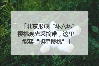 北京形成“环六环”樱桃观光采摘带,这里能买“明星樱桃”