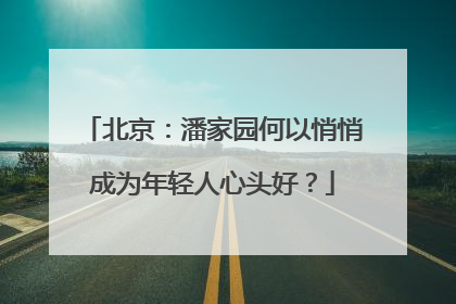 北京：潘家园何以悄悄成为年轻人心头好？