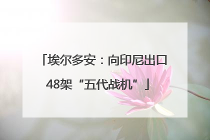 埃尔多安：向印尼出口48架“五代战机”