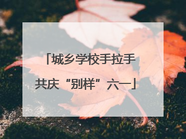 城乡学校手拉手 共庆“别样”六一