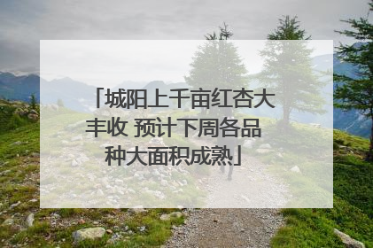 城阳上千亩红杏大丰收 预计下周各品种大面积成熟
