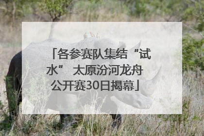 各参赛队集结“试水” 太原汾河龙舟公开赛30日揭幕