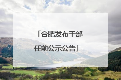 合肥发布干部任前公示公告