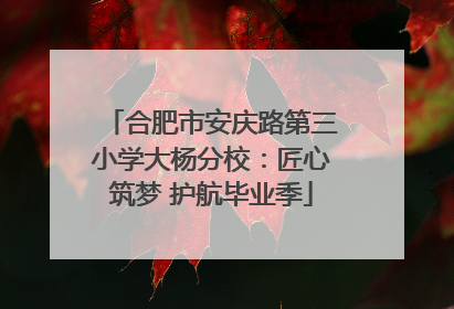 合肥市安庆路第三小学大杨分校：匠心筑梦 护航毕业季