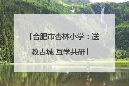 合肥市杏林小学：送教古城 互学共研