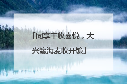 同享丰收喜悦，大兴瀛海麦收开镰