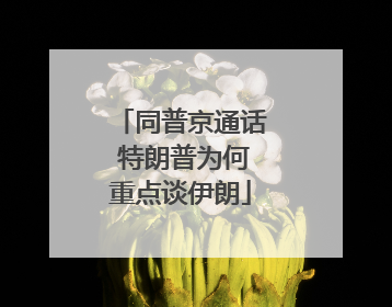 同普京通话 特朗普为何重点谈伊朗