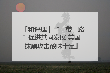 和评理｜“一带一路”促进共同发展 美国抹黑攻击酸味十足