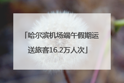 哈尔滨机场端午假期运送旅客16.2万人次