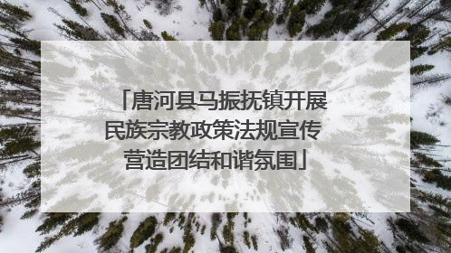 唐河县马振抚镇开展民族宗教政策法规宣传 营造团结和谐氛围
