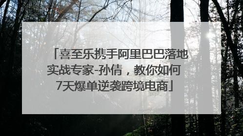 喜至乐携手阿里巴巴落地实战专家-孙倩，教你如何7天爆单逆袭跨境电商
