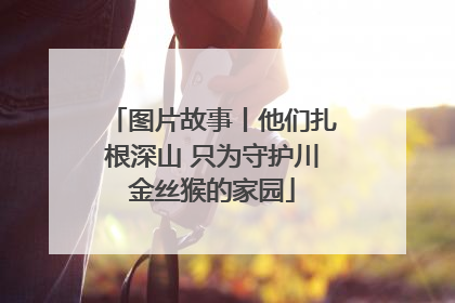 图片故事丨他们扎根深山 只为守护川金丝猴的家园