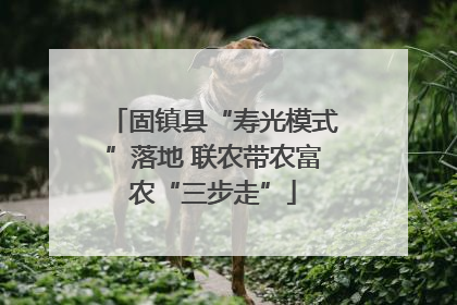 固镇县“寿光模式”落地 联农带农富农“三步走”