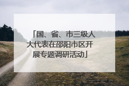 国、省、市三级人大代表在邵阳市区开展专题调研活动