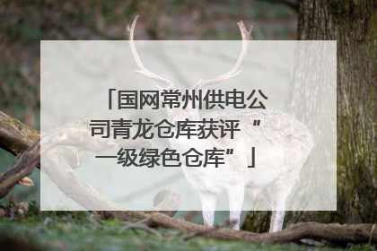 国网常州供电公司青龙仓库获评“一级绿色仓库”