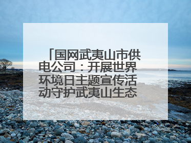 国网武夷山市供电公司：开展世界环境日主题宣传活动守护武夷山生态“高颜值”