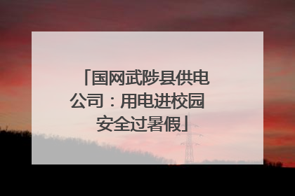 国网武陟县供电公司：用电进校园  安全过暑假
