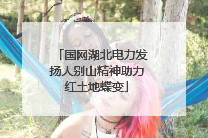 国网湖北电力发扬大别山精神助力红土地蝶变
