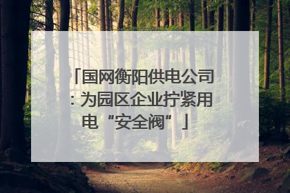 国网衡阳供电公司：为园区企业拧紧用电“安全阀”