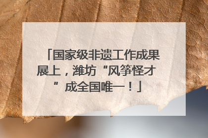 国家级非遗工作成果展上，潍坊“风筝怪才”成全国唯一！