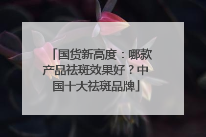 国货新高度：哪款产品祛斑效果好？中国十大祛斑品牌