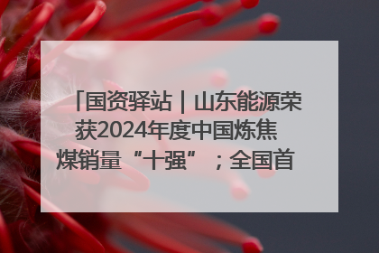 国资驿站｜山东能源荣获2024年度中国炼焦煤销量“十强”；全国首例铁路盖上智慧物流园钢结构主体完工