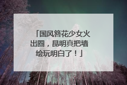 国风簪花少女火出圈，昆明真把墙绘玩明白了！
