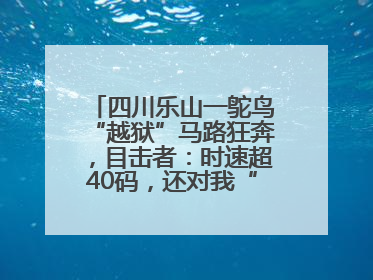 四川乐山一鸵鸟“越狱”马路狂奔，目击者：时速超40码，还对我“笑”了下