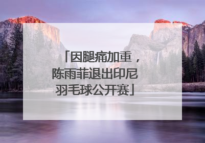 因腿痛加重，陈雨菲退出印尼羽毛球公开赛