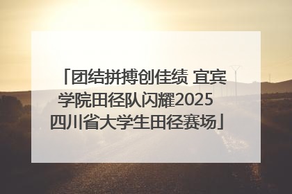团结拼搏创佳绩 宜宾学院田径队闪耀2025四川省大学生田径赛场