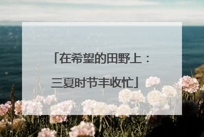 在希望的田野上：三夏时节丰收忙