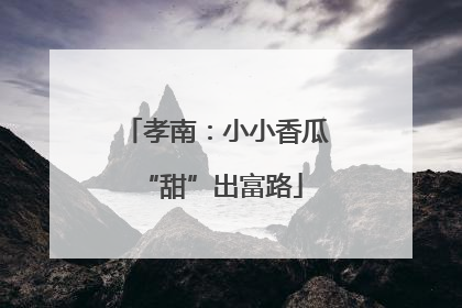孝南：小小香瓜 “甜”出富路