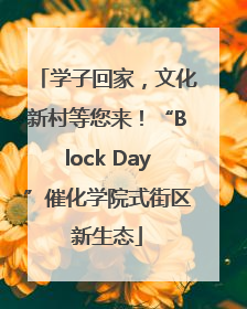 学子回家，文化新村等您来！“Block Day”催化学院式街区新生态