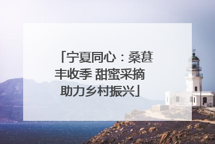 宁夏同心：桑葚丰收季 甜蜜采摘助力乡村振兴