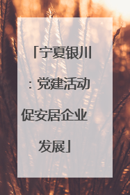 宁夏银川：党建活动促安居企业发展