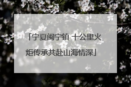 宁夏闽宁镇 十公里火炬传承共赴山海情深