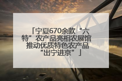 宁夏670余款“六特”农产品亮相农展馆 推动优质特色农产品“出宁进京”
