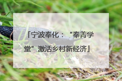 宁波奉化：“奉菁学堂”激活乡村新经济