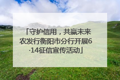 守护信用，共赢未来 农发行衡阳市分行开展6·14征信宣传活动