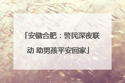 安徽合肥：警民深夜联动 助男孩平安回家
