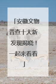 安徽文物普查十大新发现揭晓！一起来看看