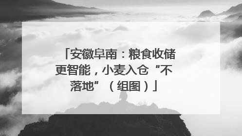 安徽阜南：粮食收储更智能，小麦入仓“不落地”（组图）